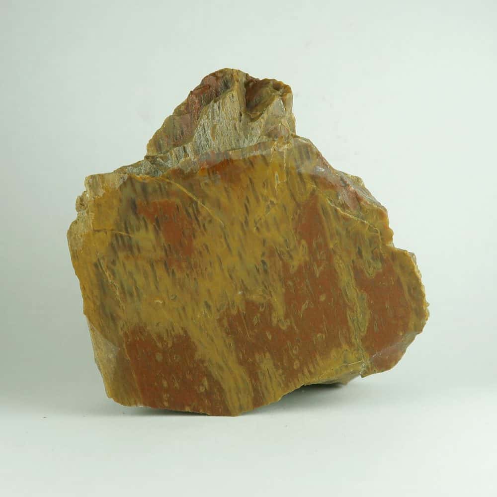 petrified wood for lapidary