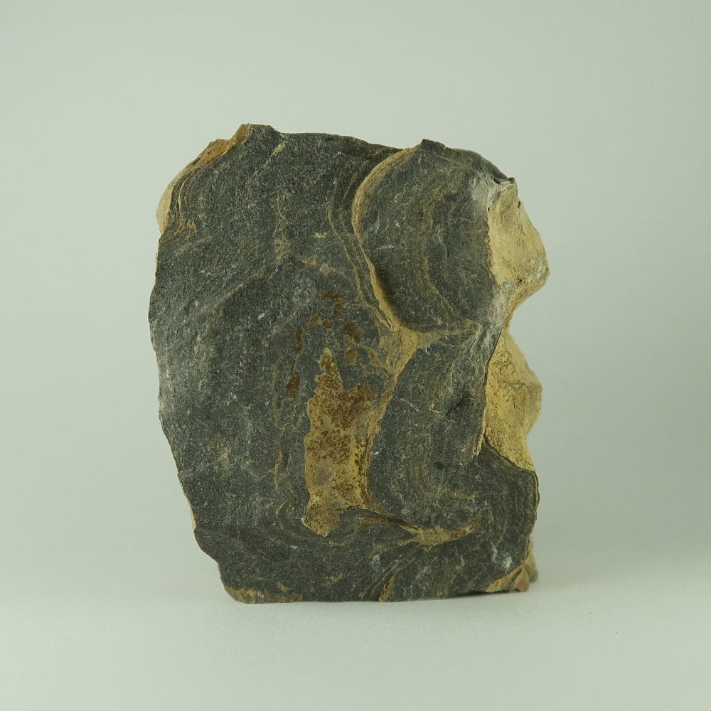 stromatolite specimens