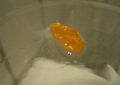 white p