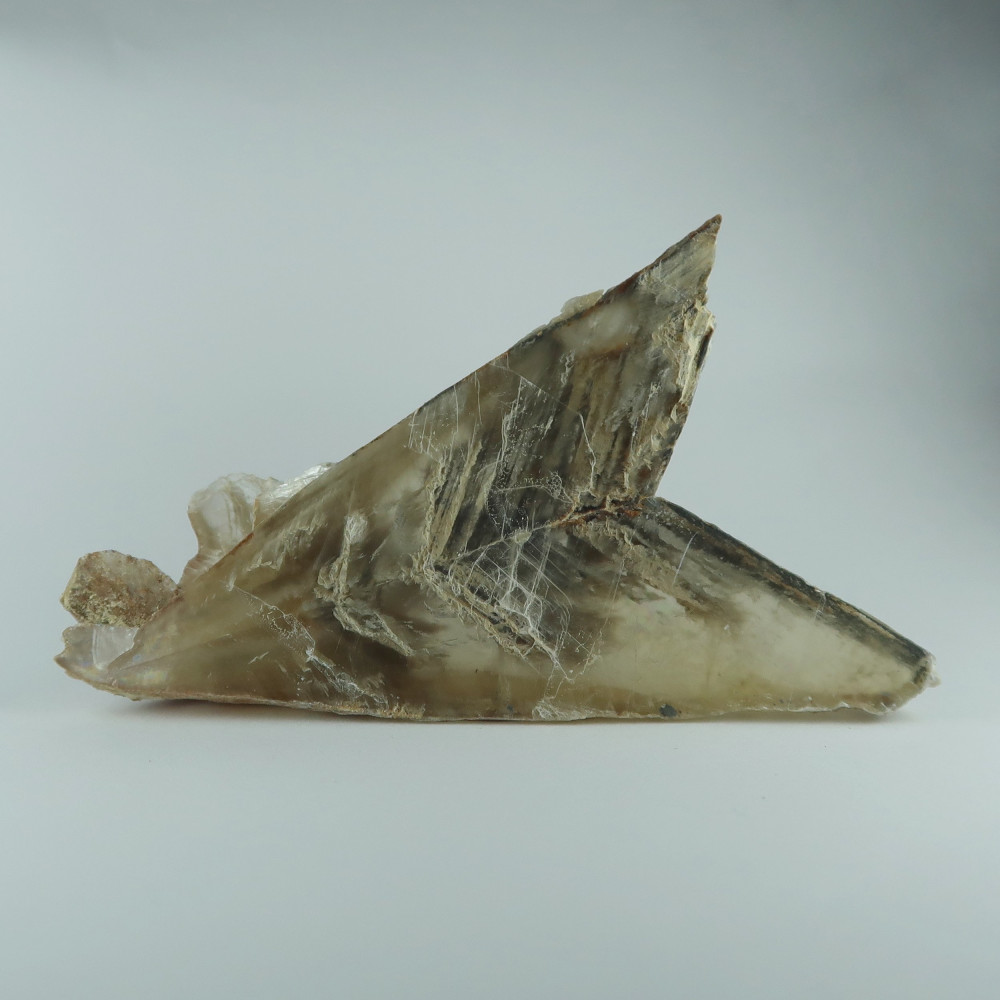 gypsum var. selenite from castrillo del val, castrillo del val, provincia de burgos, castilla y león, spain 2