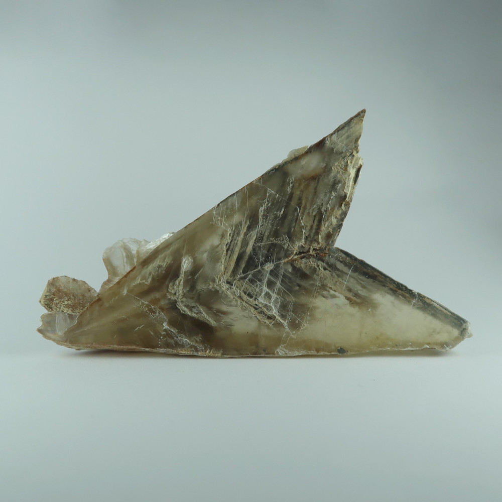 gypsum var. selenite from castrillo del val, castrillo del val, provincia de burgos, castilla y león, spain 9