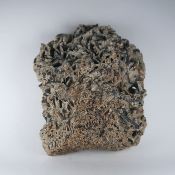 Augite