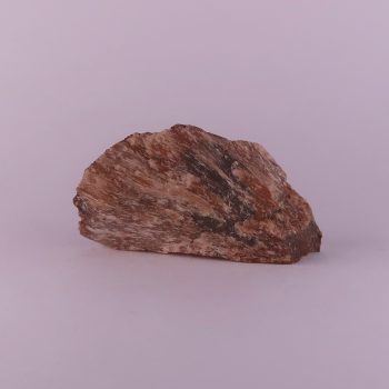 Bustamite