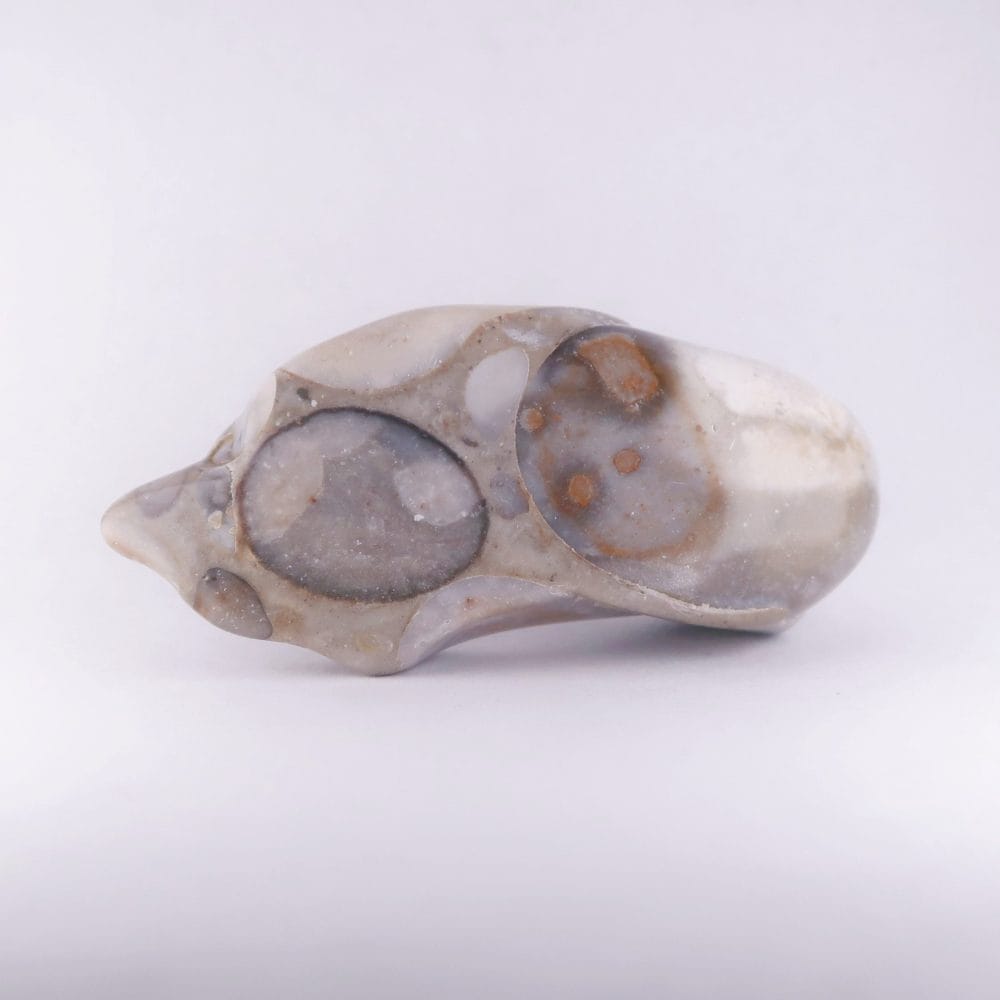 polished puddingstone conglomerate