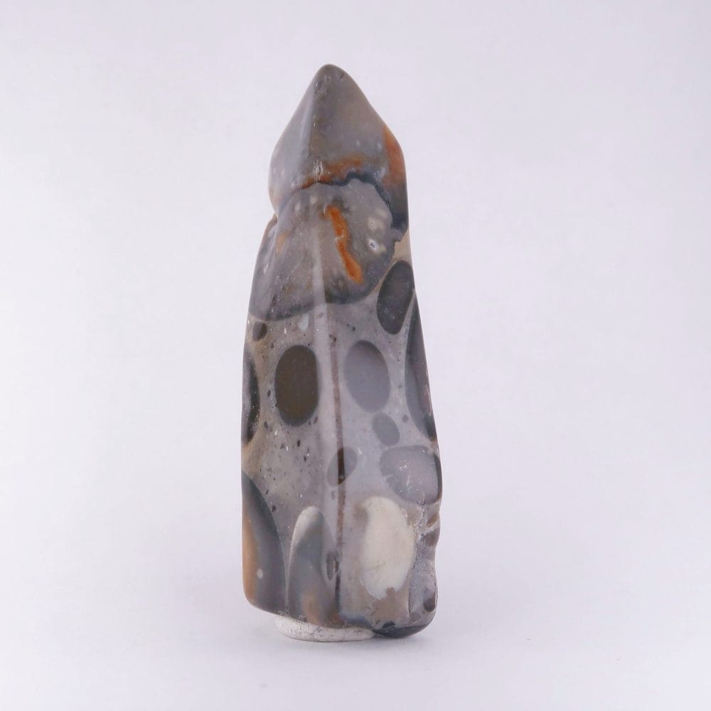 polished puddingstone conglomerate