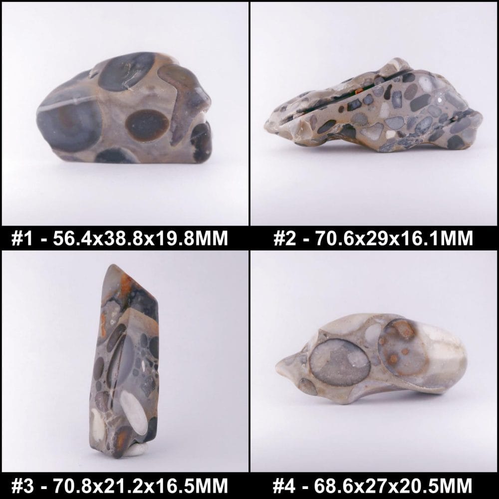 polished puddingstone conglomerate