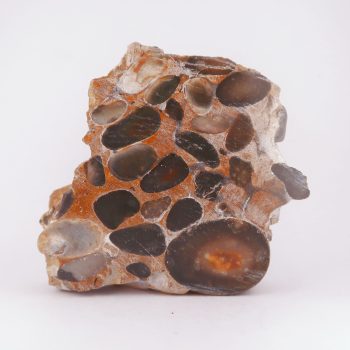 polished puddingstone conglomerate