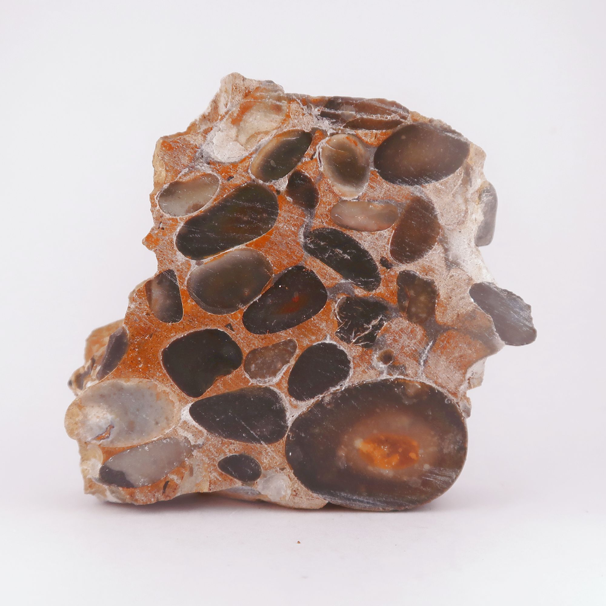 polished puddingstone conglomerate