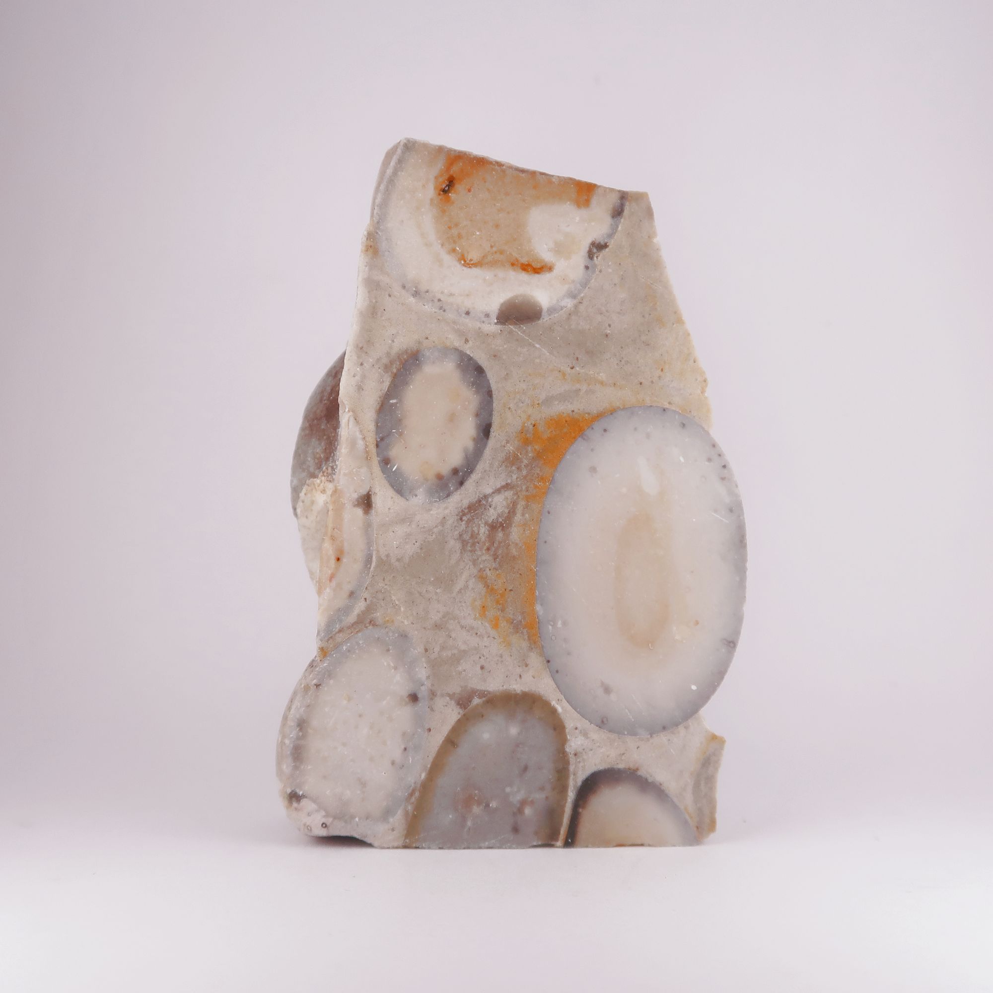 polished puddingstone conglomerate