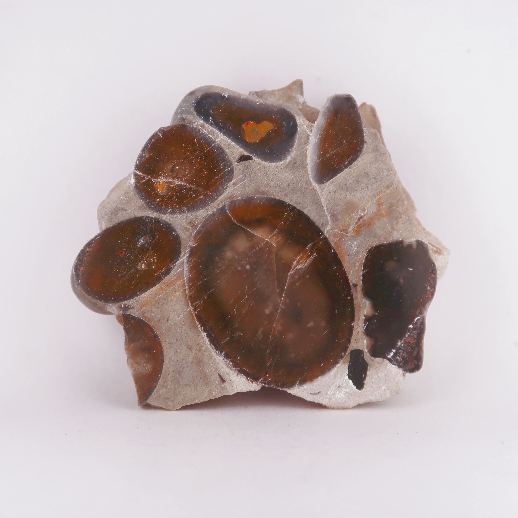 polished puddingstone conglomerate