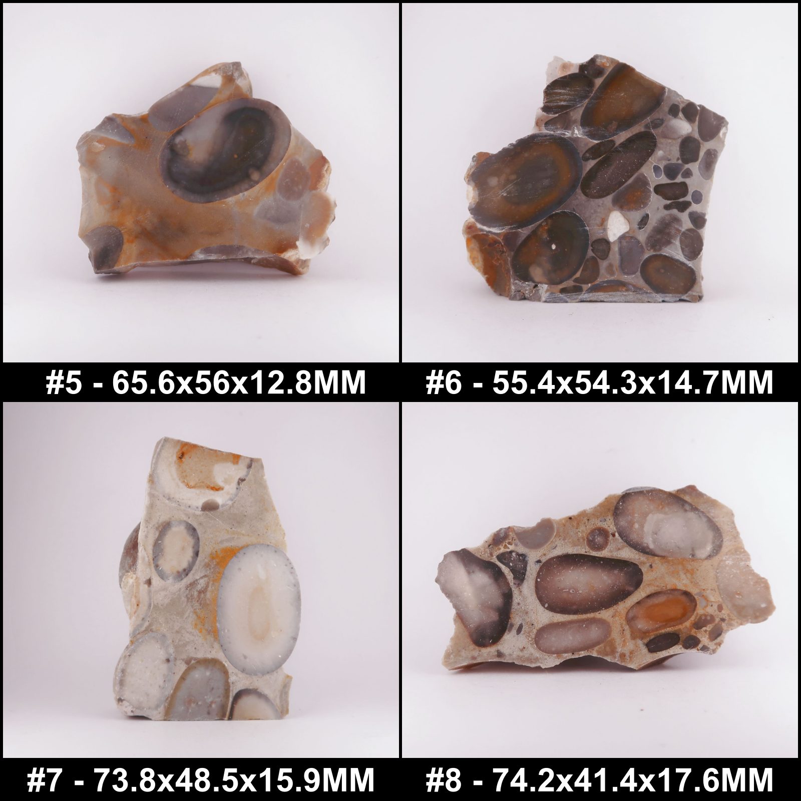 polished puddingstone conglomerate