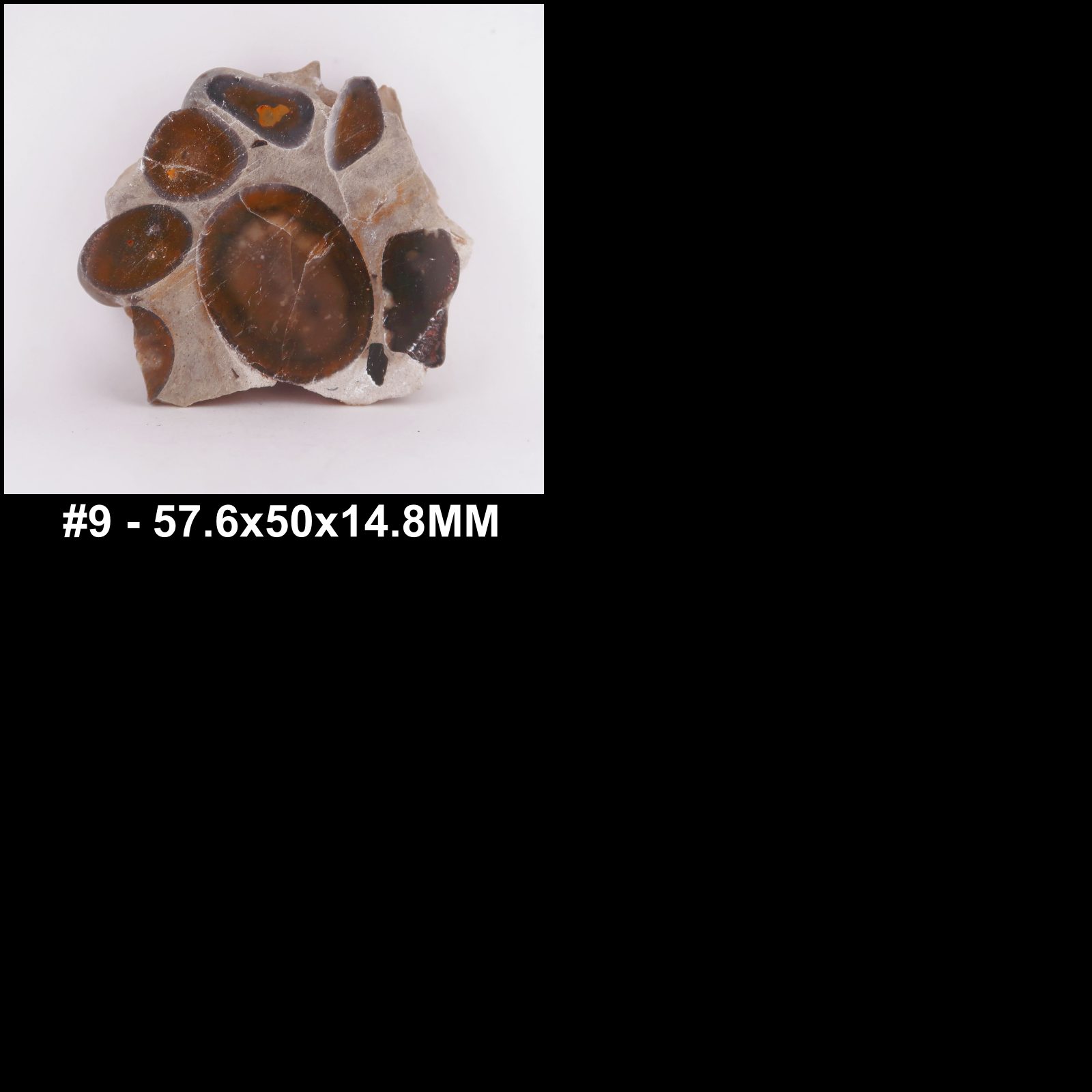 polished puddingstone conglomerate