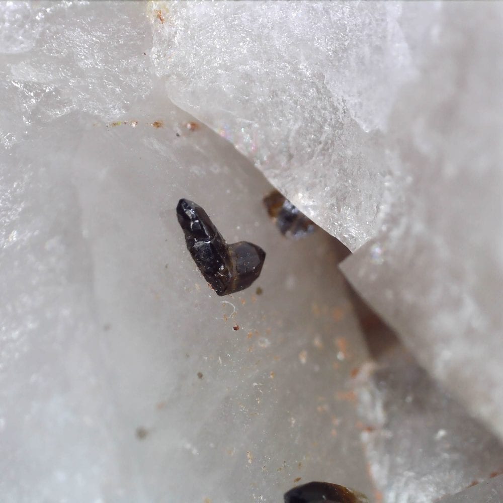 cassiterite on quartz from cligga head, cornwall 8