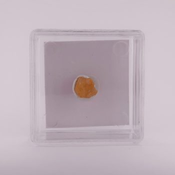 beryl from khoroshiv raion, ukraine