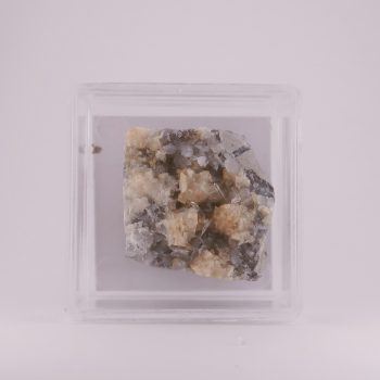 celestine from condorcet, france