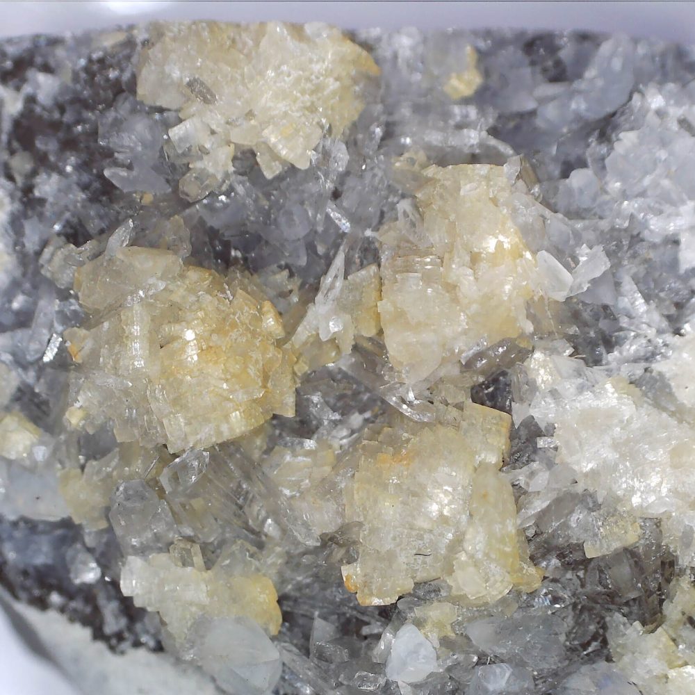celestine from condorcet, france
