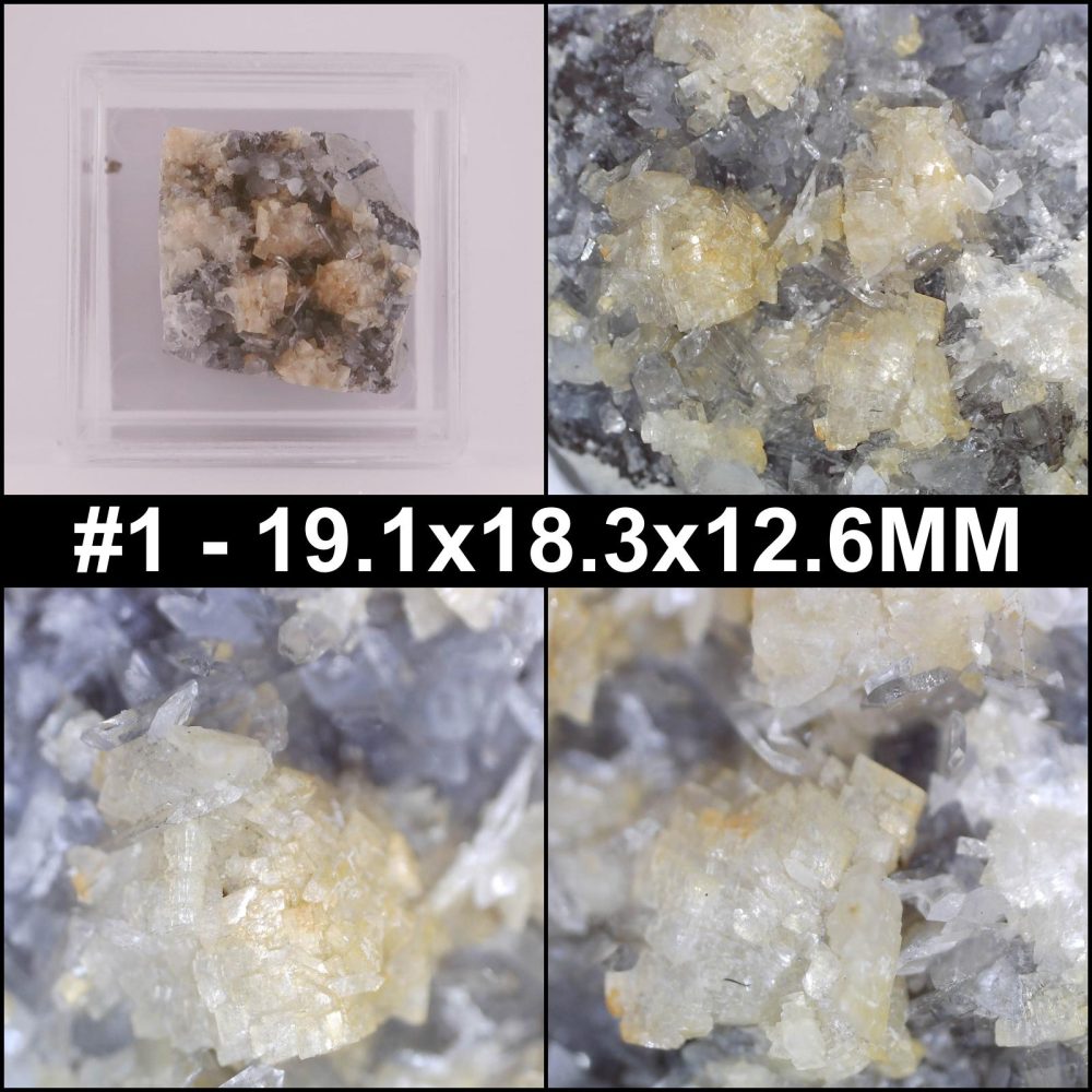 celestine from condorcet, france