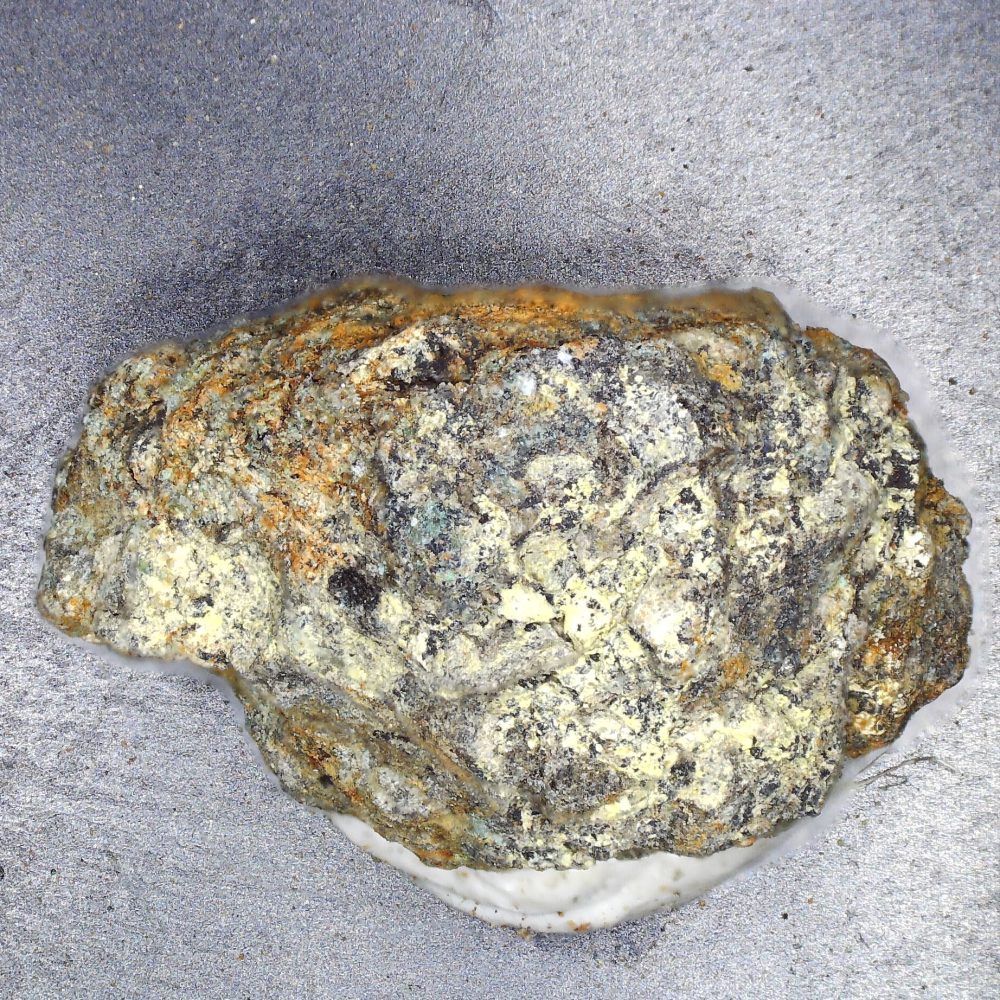 dewindite from loe warren zawn, cornwall