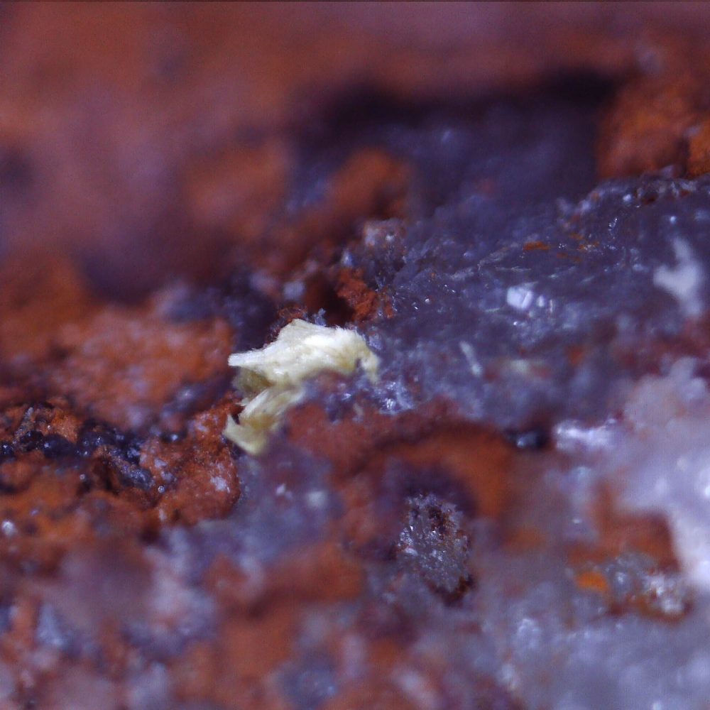 ferrimolybdite from alpe machetto mine, italy