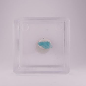 Fluorapatite from Assunção Mine, Aldeia Nova, Ferreira de Aves, Sátão, Viseu, Portugal