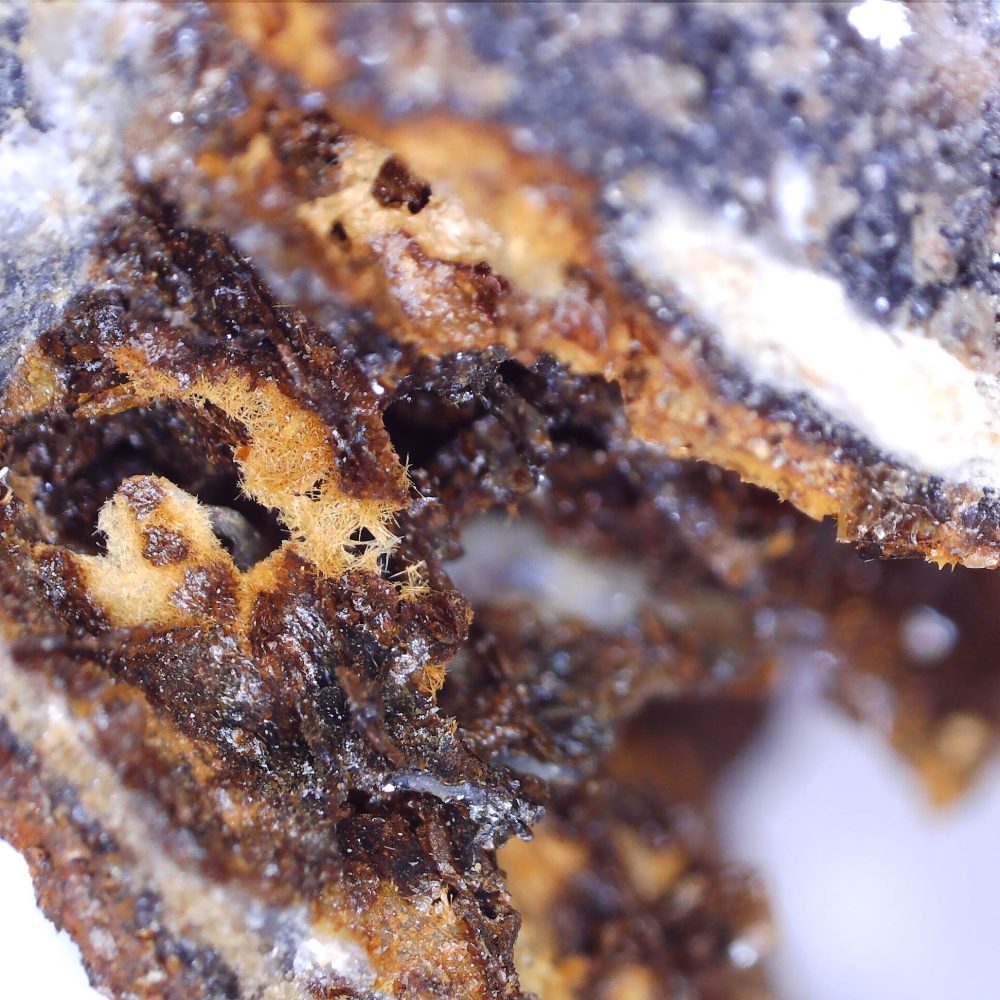 fluorapatite from holmbush mine, cornwall