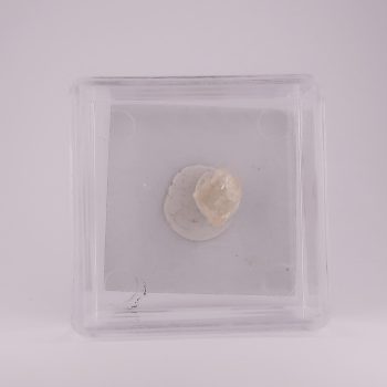 scapolite from mimoso do sul, brazil