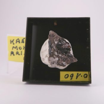 kaersutite specimens