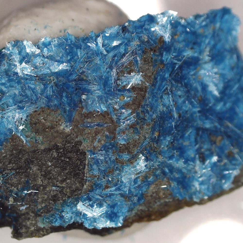 langite from moel hebog, beddgelert, gwynedd, wales, uk 5