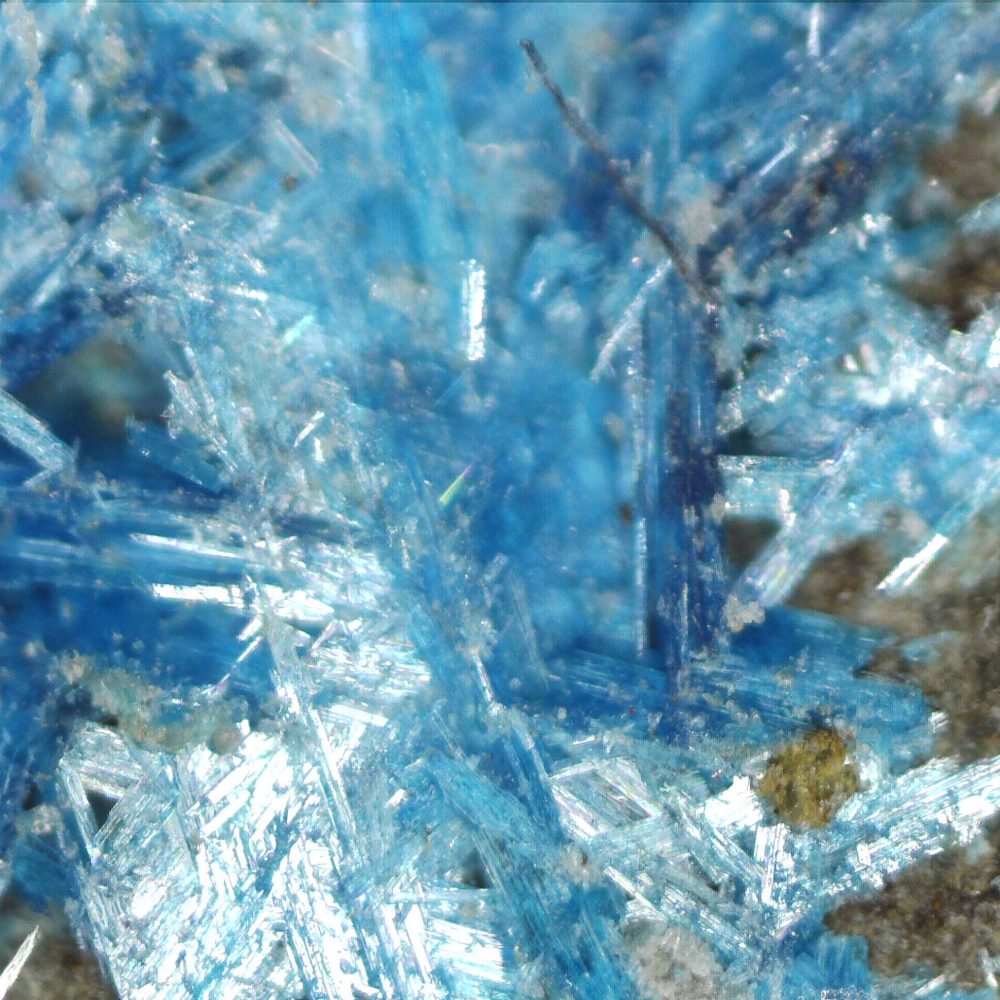 langite from moel hebog, beddgelert, gwynedd, wales, uk 7