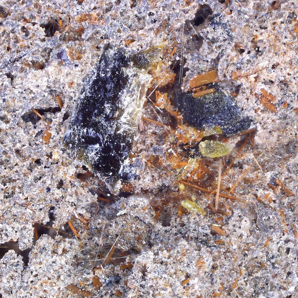 kaersutite from nickenicher sattel, germany