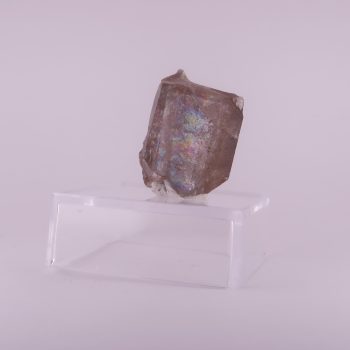 baryte from fuller's earth workings, nutfield, tandridge, surrey, england, uk 3