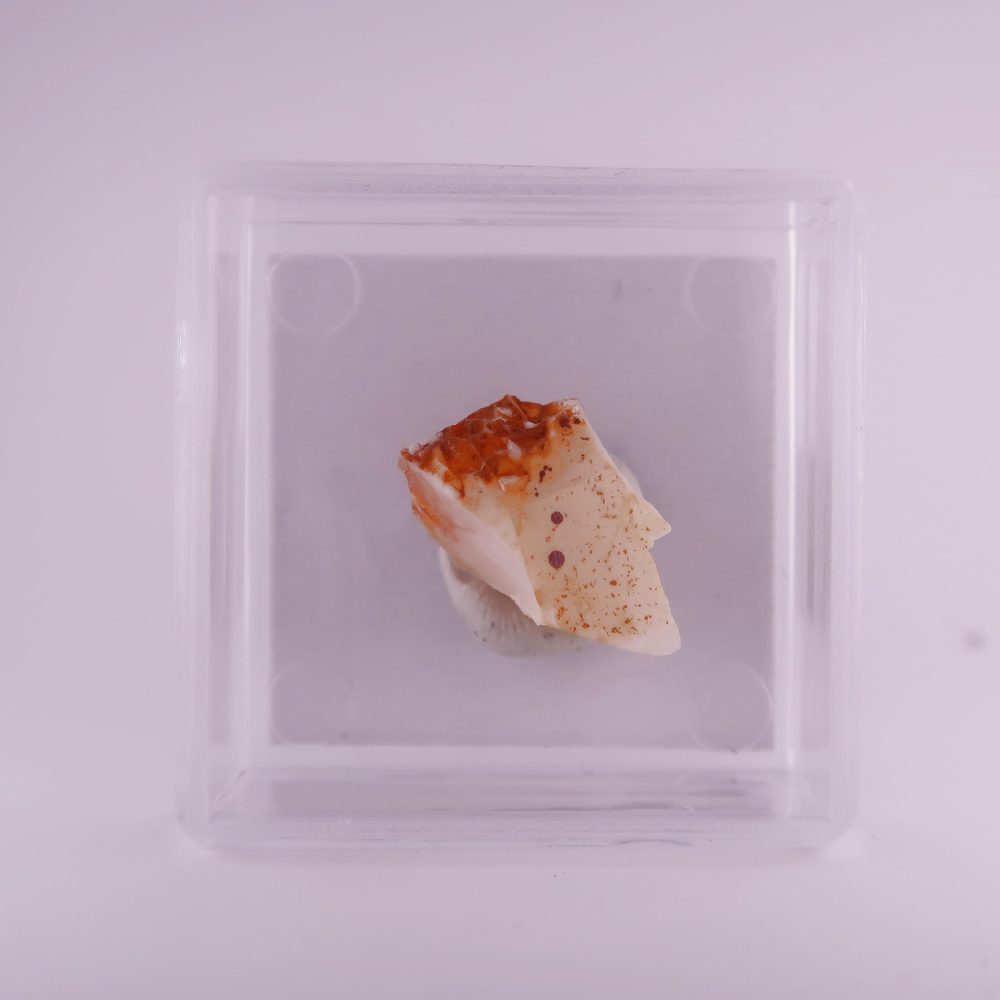 cacoxenite from clara mine, germany