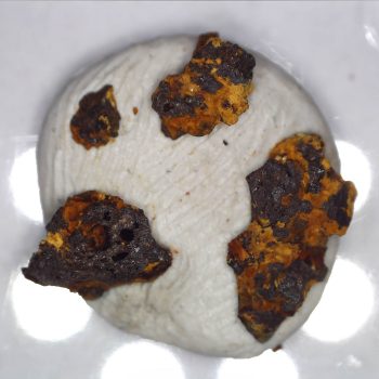 Cacoxenite