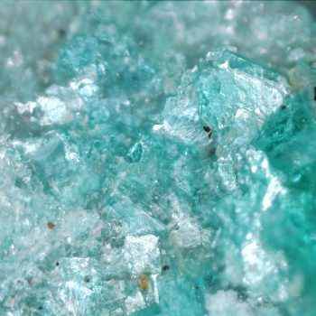 Chalcophyllite