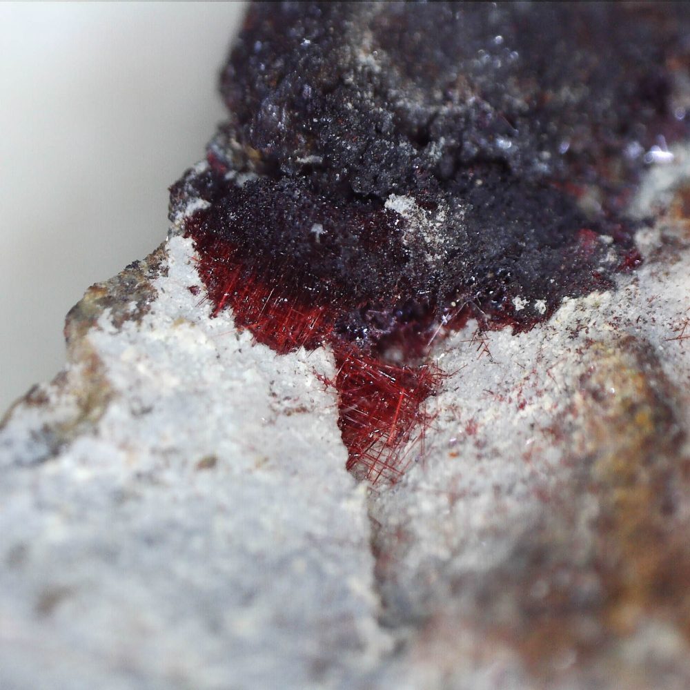 cuprite var. chalcotrichite from ray mine, usa