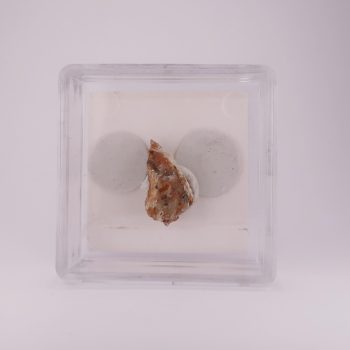 enargite from nadap, hungary
