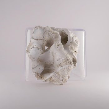 hydrozincite from aberllyn mine, wales