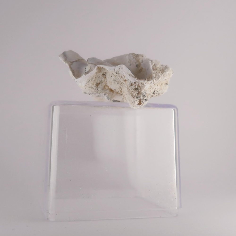 hydrozincite from aberllyn mine, wales