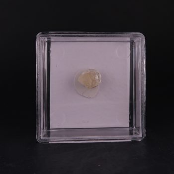 prehnite from upper new street quarry, usa