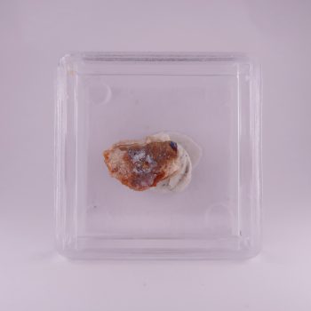linarite from roughton gill mine, cumbria