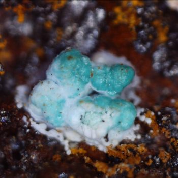 Rosasite
