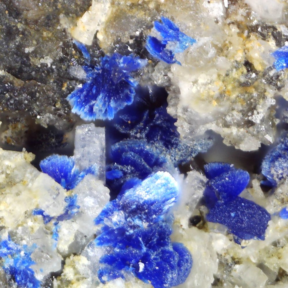 azurite and harmotome from dolyhir quarry, wales