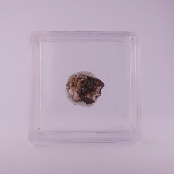 celsian from benallt mine, wales