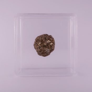pyrite from abbots cliff, kent