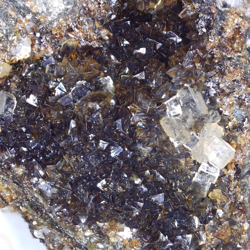 fluorapatite and siderite from devon great consols, devon
