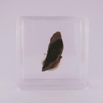 goethite from 'washington quarry', west sussex