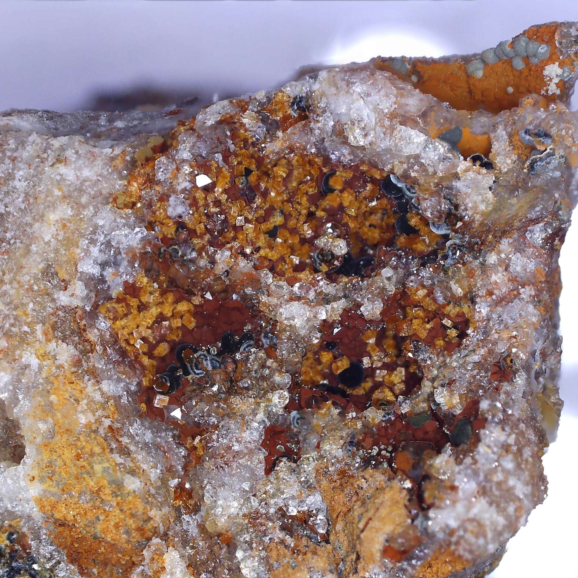 bariopharmacosiderite and dufrenite from ste barbe vein, france
