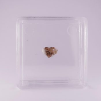 braunite from caspar quarry, germany