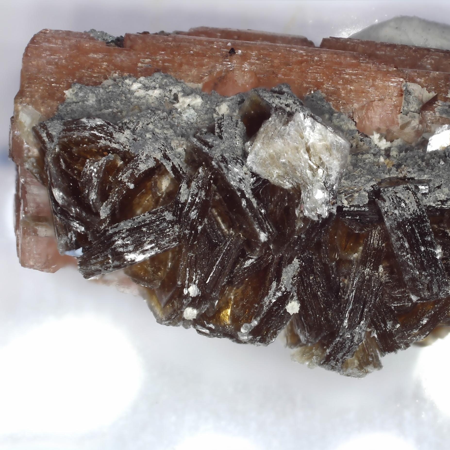 genthelvite, serandite, polylithionite from poudrette quarry, canada