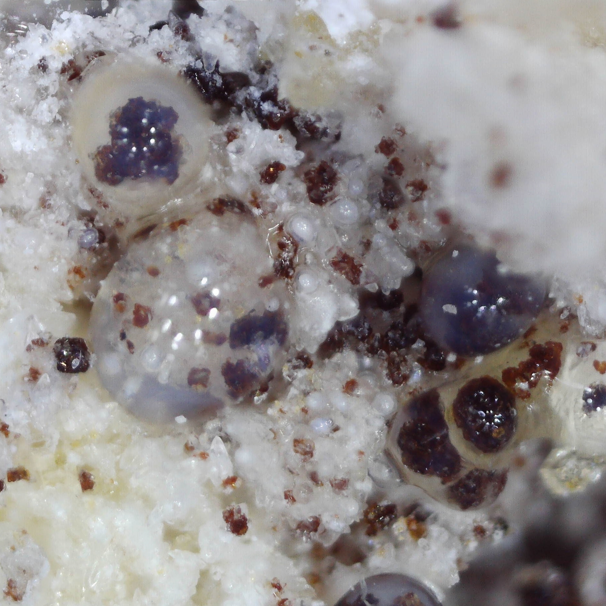 opal an from caspar quarry, germany